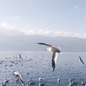 人妖粗暴刺激videos呻吟
